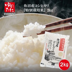 画像1: K-1　令和3年産　ゆのたに　魚沼産こしひかり 特別栽培米2ｋｇ
