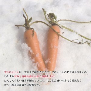画像3: (3F-96)雪くれない　雪下にんじんジュース200ml×20本【冬カタログ掲載商品】