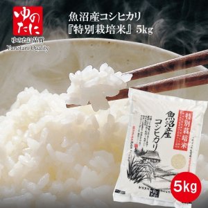 新米」令和5年 魚沼産コシヒカリ 特別栽培米５kg [ゆのたに公式