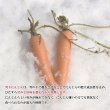 画像3: 雪くれない　雪下にんじんジュース200ml×20本 (3)