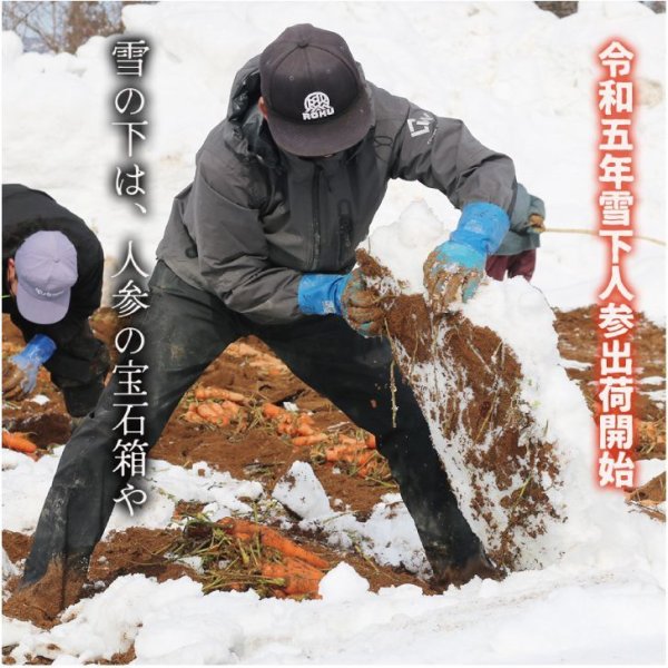 画像5: (3F-95)雪くれない　雪下にんじんジュース200ml×10本【冬カタログ掲載商品】 (5)