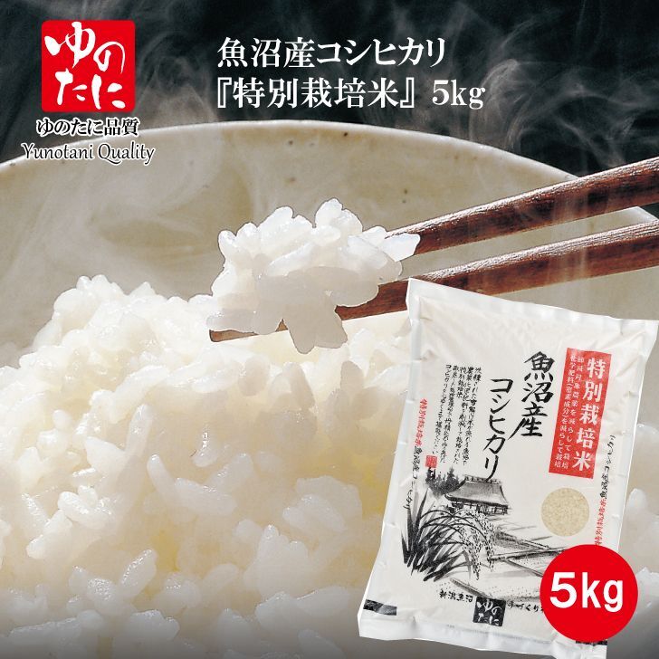 特別栽培米５kg　[ゆのたに公式オンラインショップ]　「新米」令和5年　魚沼産コシヒカリ